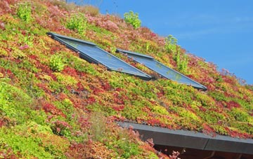 Whitlocks End living roof systems